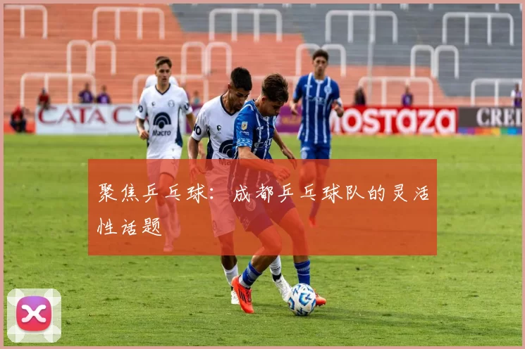 聚焦乒乓球：成都乒乓球队的灵活性话题