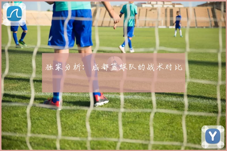 独家分析：成都篮球队的战术对比