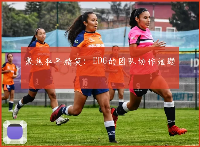 聚焦和平精英：EDG的团队协作话题